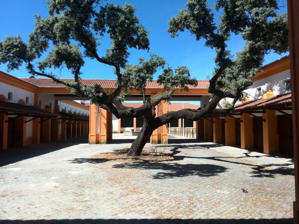Coudelaria de Alter do Chao credito Turismo do Alentejo Easy Resize.com 1