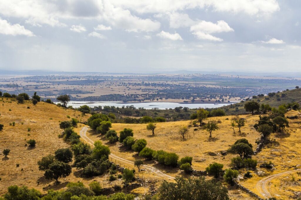Vista para o Lago Alqueva em Monsaraz credito Turismo do Alentejo Easy Resize.com