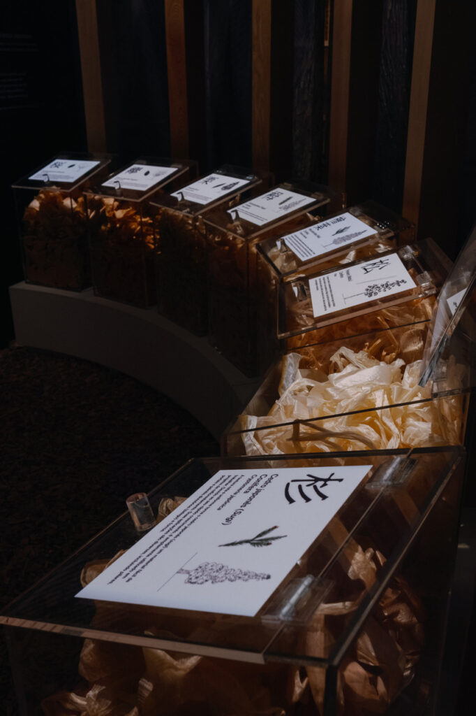 Kigumi GF DavidBarkan 16 Easy Resize.com