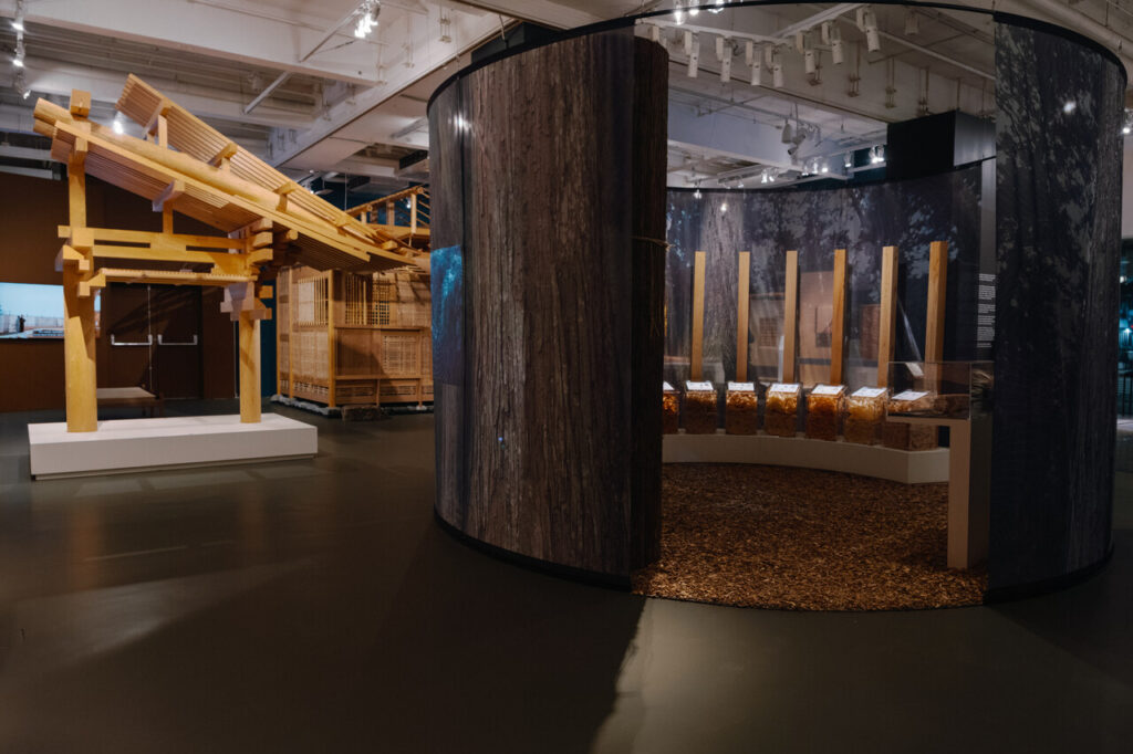 Kigumi GF DavidBarkan 19 Easy Resize.com