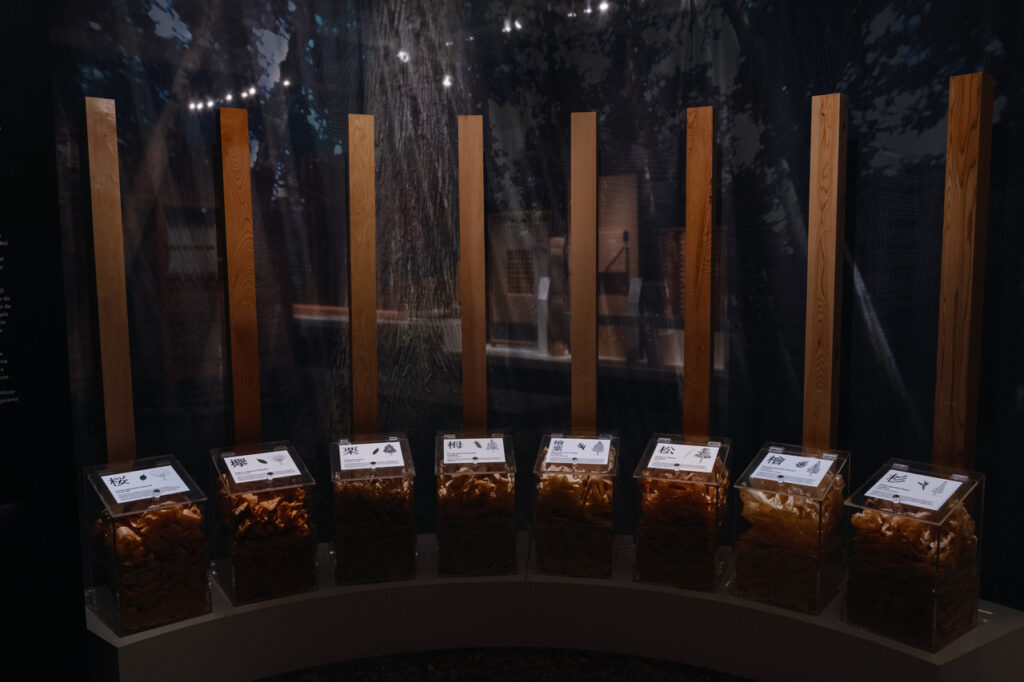 Kigumi GF DavidBarkan 9 Easy Resize.com