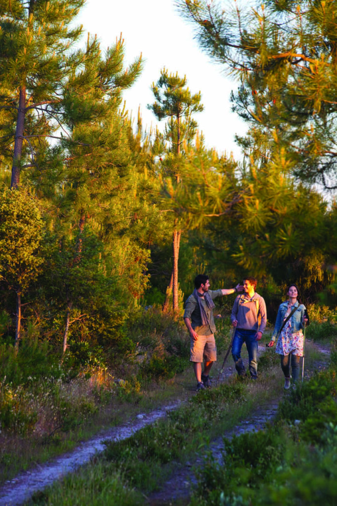 Caminhar pelo Alentejo é o melhor jeito de descobrir a essência da região 19 Trilhas pela natureza sao ideias para mergulhar na natureza alentejana Turismo do Alentejo Easy Resize.com