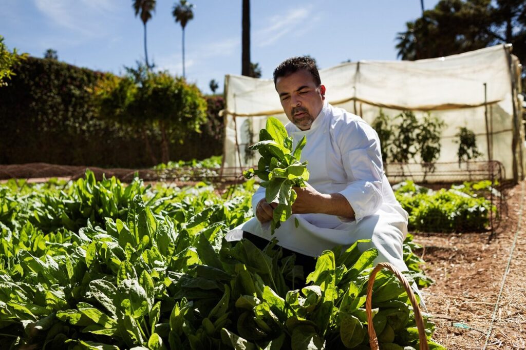 Restaurante Le Marocain do Hotel La Mamounia eleva o tradicional tagine à categoria de alta gastronomia 2 Chef Rachid Agouray Easy Resize.com
