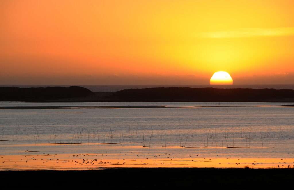 Conheça os encantos de Santiago do Cacém, no Alentejo 4 Lagoa de Santo Andre Santiago do Cacem credito CMSC Easy Resize.com