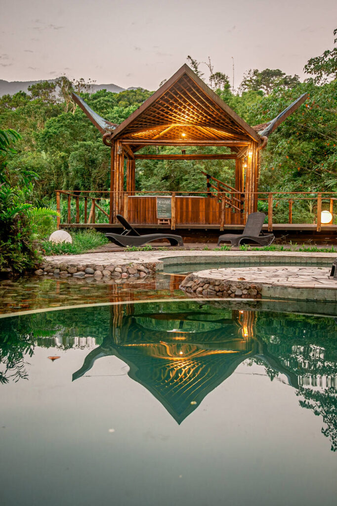 Banana Bamboo Ecolodge apresenta Ceia de Natal com foco em PANCs e ingredientes nativos da Mata Atlântica 2 MG 9924 Easy Resize.com