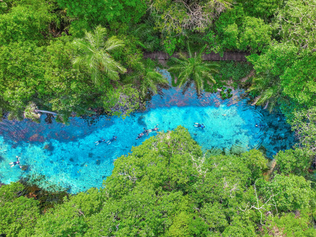 Nascente Azul: um mergulho na natureza durante as férias de verão 7 Nascente Azul flutuacao 3 Easy Resize.com