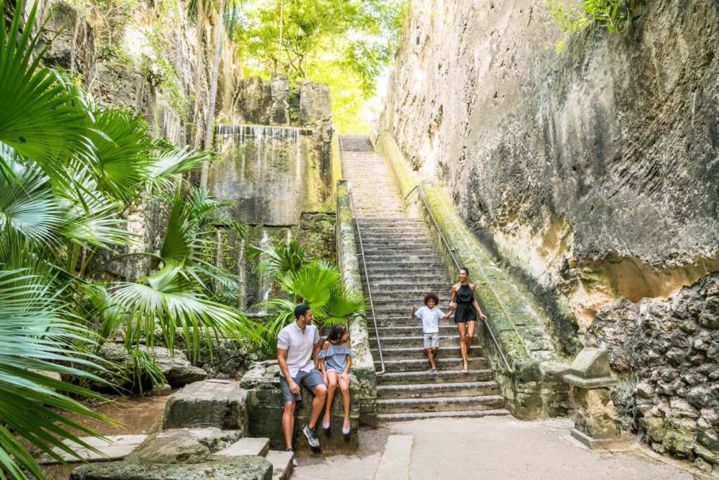 Bahamas: o destino perfeito para férias em família com experiências para todas as idades 3 BMOT Gallery 33 Easy Resize.com