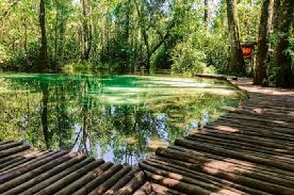 10 destinos para viajar em janeiro perto de São Paulo 6 Brotas Easy Resize.com