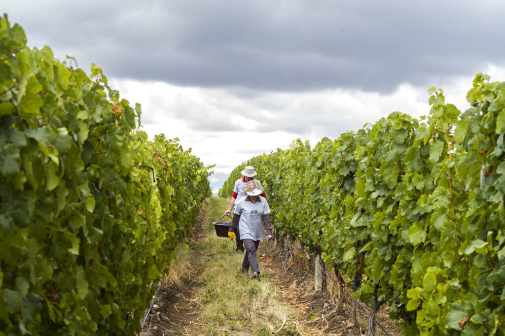 Viajar em 2026: experiências transformadoras para incluir em seu planejamento 2 Harvest 4 Easy Resize.com