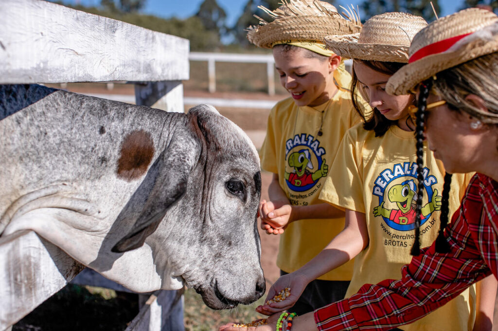 Começa essa semana a temporada de férias do Acampamento Peraltas em Brotas 2 visita a fazendinha do acampamento peraltas2 Easy Resize.com